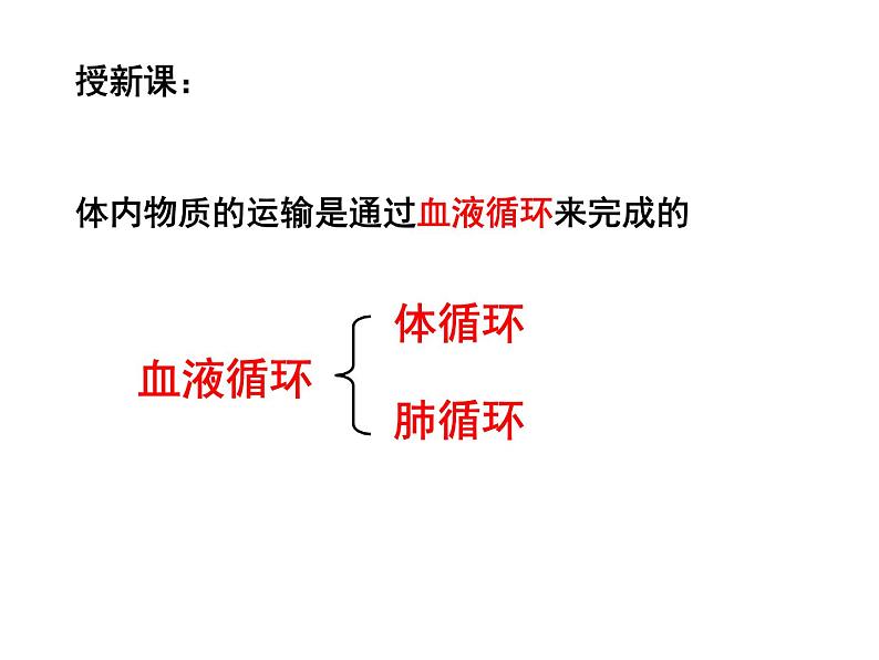 冀教版七年级下册生物 2.3物质运输的路线 课件06