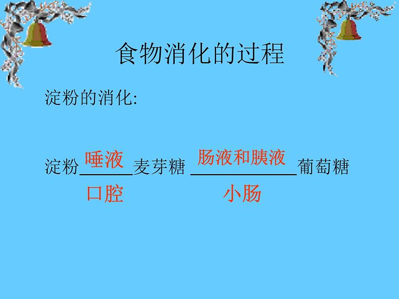 苏教版七年级下册生物 9.2人体的消化与吸收 课件第5页