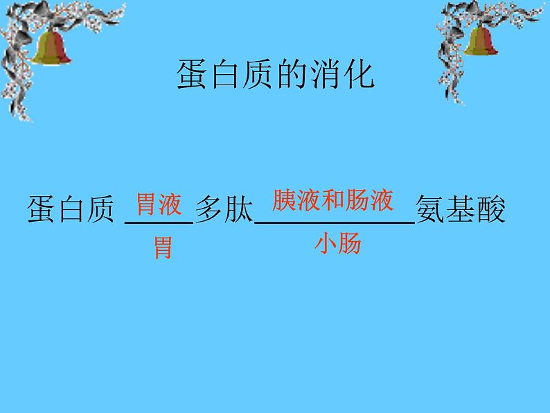 苏教版七年级下册生物 9.2人体的消化与吸收 课件第6页