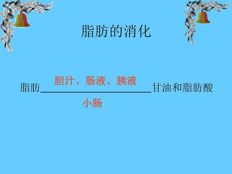 苏教版七年级下册生物 9.2人体的消化与吸收 课件第7页