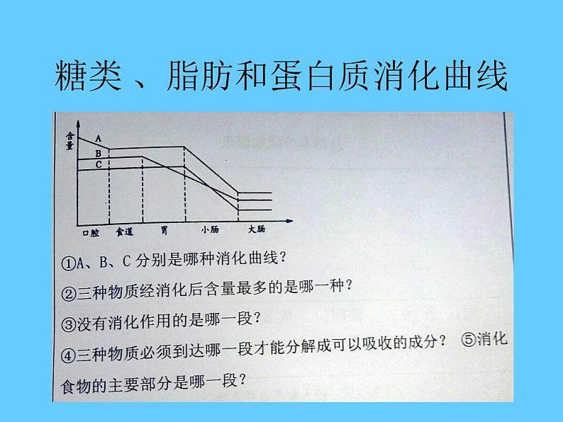 苏教版七年级下册生物 9.2人体的消化与吸收 课件第8页