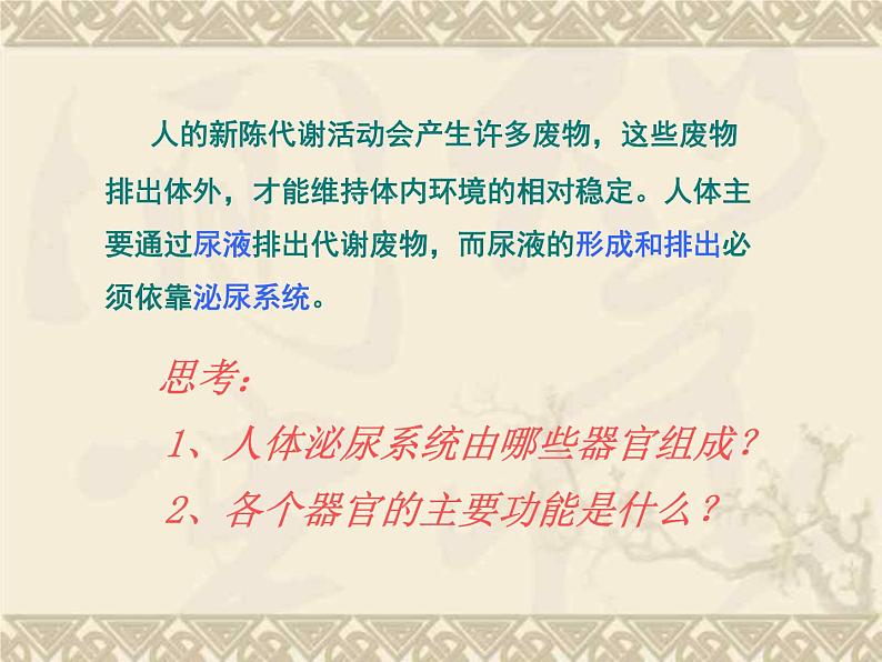 苏教版七年级下册生物 11.1人体泌尿系统的组成 课件03