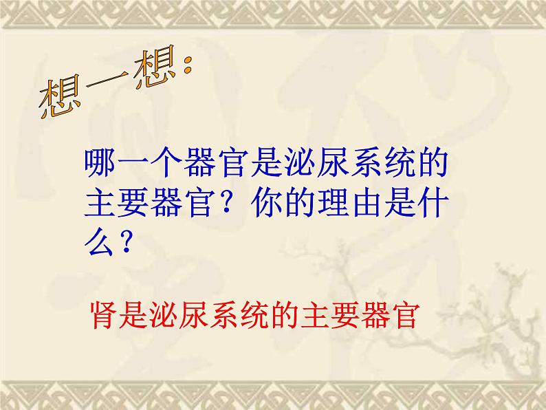 苏教版七年级下册生物 11.1人体泌尿系统的组成 课件07