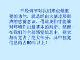 苏教版七年级下册生物 12.3人体感知信息 课件