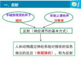 苏教版七年级下册生物 12.2人体的神经调节 课件