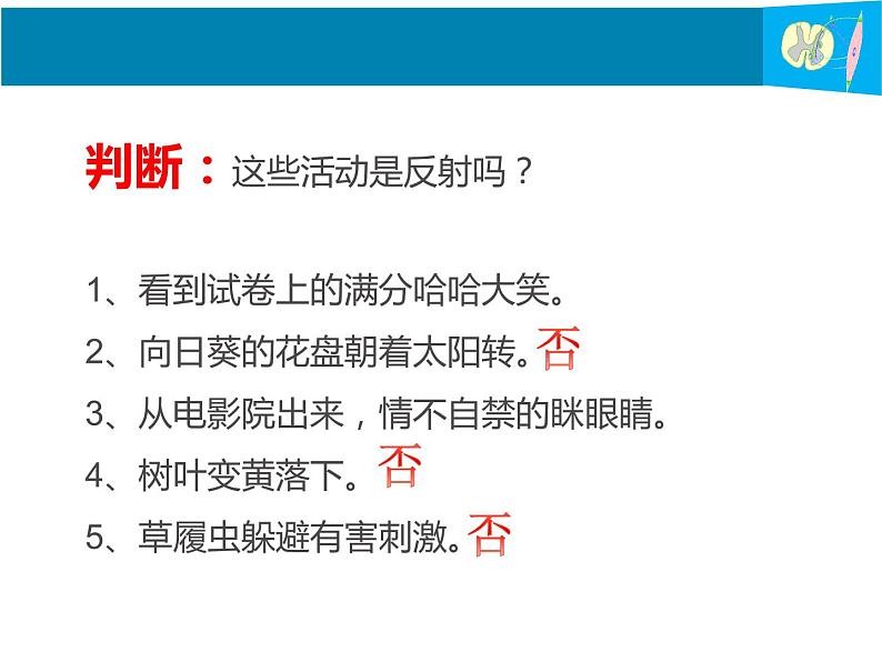 苏教版七年级下册生物 12.2人体的神经调节 课件03