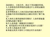 苏教版七年级下册生物 10.5人体能量的供给 课件