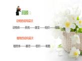 蘇科版七年級(jí)下冊(cè)生物 9.3單細(xì)胞的生物體 課件