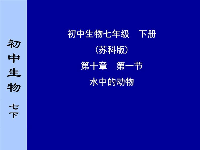 苏科版七年级下册生物 10.1水中的动物 课件第1页