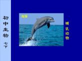 苏科版七年级下册生物 10.1水中的动物 课件