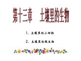 苏科版七年级下册生物 13.1土壤里的小动物 课件
