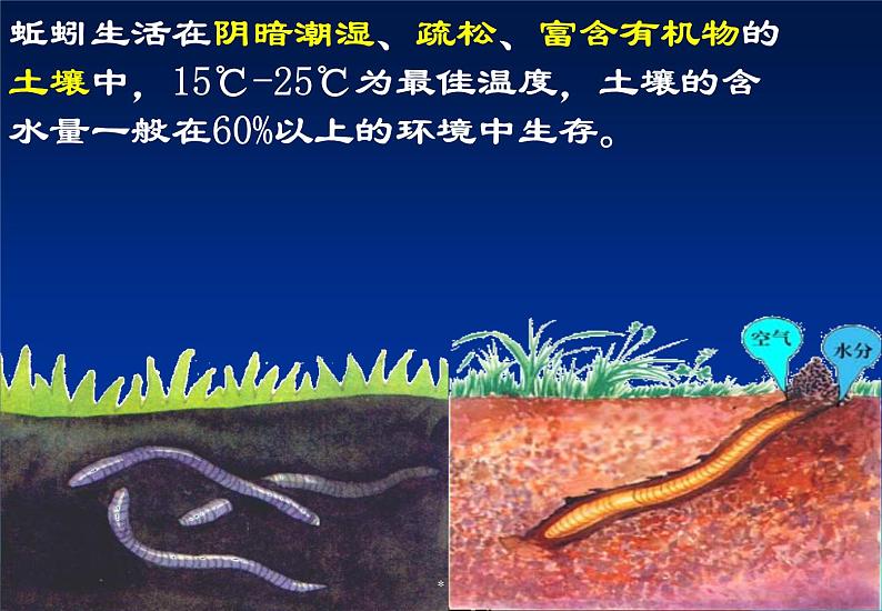 苏科版七年级下册生物 13.1土壤里的小动物 课件第7页