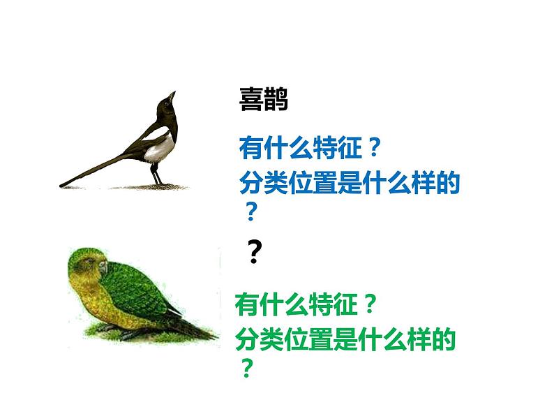 苏科版七年级下册生物 14.2生物检索表 课件01