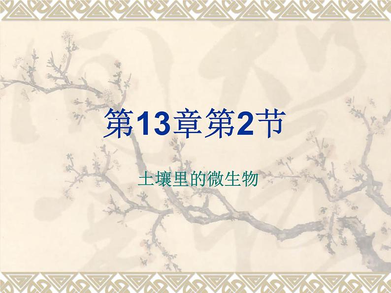 苏科版七年级下册生物 13.2土壤里的微生物 课件第1页