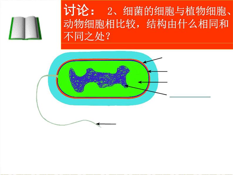 苏科版七年级下册生物 13.2土壤里的微生物 课件第7页