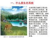 2022年北师大版八年级生物下册第23章第2节生态系统概述课件 (1)