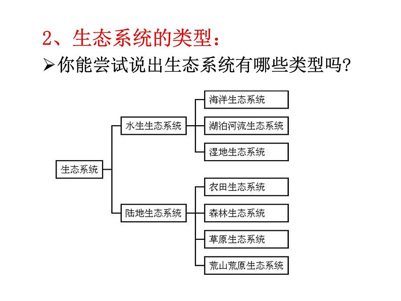 2022年北师大版八年级生物下册第23章第2节生态系统概述课件 (1)第6页