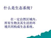 2022年北师大版八年级生物下册第23章第2节生态系统概述课件 (2)