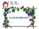 2022年北师大版八年级生物下册第23章第2节生态系统概述课件 (2)