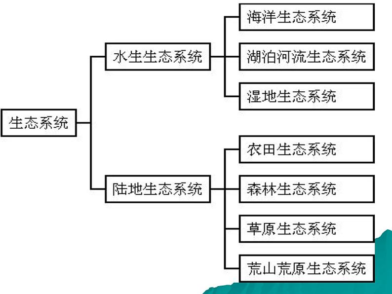 2022年北师大版八年级生物下册第23章第2节生态系统概述课件 (2)第5页