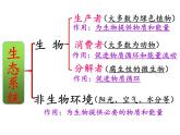 2022年北师大版八年级生物下册第23章第3节生态系统的结构和功能课件 (4)