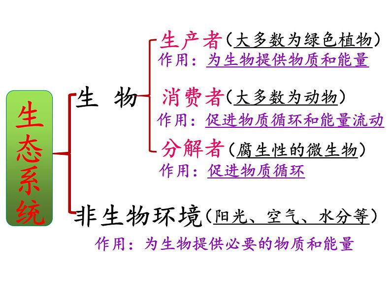 2022年北师大版八年级生物下册第23章第3节生态系统的结构和功能课件 (4)第3页