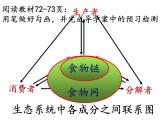 2022年北师大版八年级生物下册第23章第3节生态系统的结构和功能课件 (4)