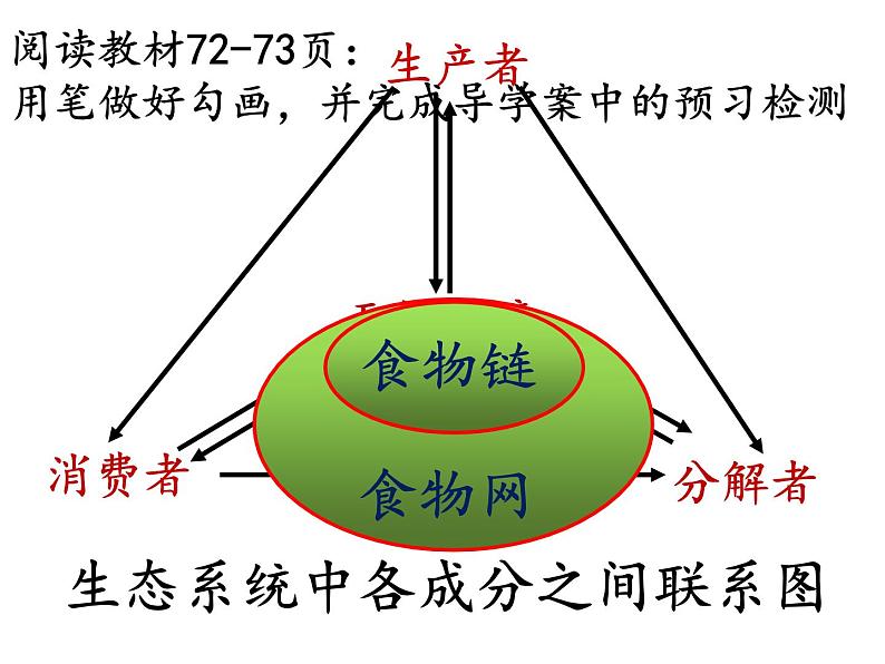 2022年北师大版八年级生物下册第23章第3节生态系统的结构和功能课件 (4)第4页