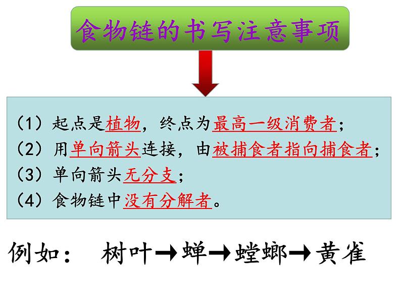 2022年北师大版八年级生物下册第23章第3节生态系统的结构和功能课件 (4)第7页