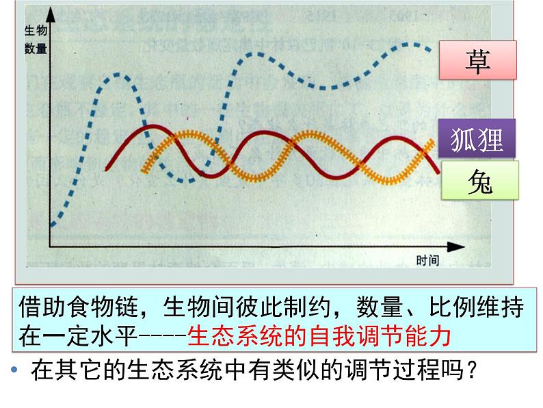 2022年北师大版八年级生物下册第23章第4节生态系统的稳定性课件 (6)第8页