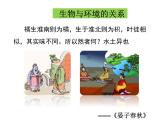 2022年北师大版八年级生物下册第23章第4节生态系统的稳定性课件 (4)