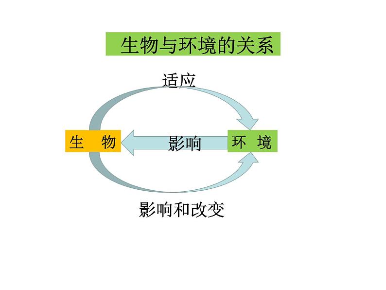 2022年北师大版八年级生物下册第23章第4节生态系统的稳定性课件 (4)第3页