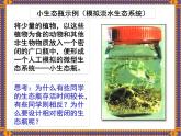 2022年北师大版八年级生物下册第23章第4节生态系统的稳定性课件 (3)