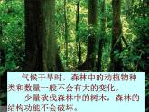 2022年北师大版八年级生物下册第23章第4节生态系统的稳定性课件 (3)