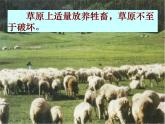 2022年北师大版八年级生物下册第23章第4节生态系统的稳定性课件 (3)