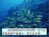 2022年北师大版八年级生物下册第23章第4节生态系统的稳定性课件 (3)