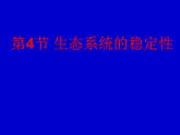 2022年北师大版八年级生物下册第23章第4节生态系统的稳定性课件 (2)