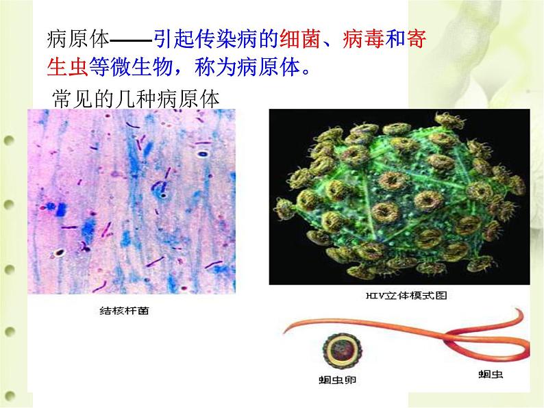 2022年人教版八年级生物下册第8单元第1章第1节传染病及其预防课件 (3)第6页