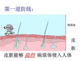 2022年人教版八年级生物下册第8单元第1章第2节免疫与计划免疫课件 (1)