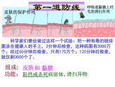 2022年人教版八年级生物下册第8单元第1章第2节免疫与计划免疫课件 (4)
