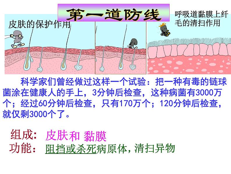 2022年人教版八年级生物下册第8单元第1章第2节免疫与计划免疫课件 (4)第3页