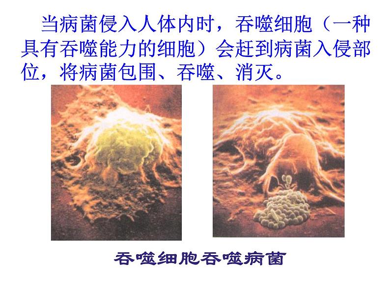 2022年人教版八年级生物下册第8单元第1章第2节免疫与计划免疫课件 (4)第6页