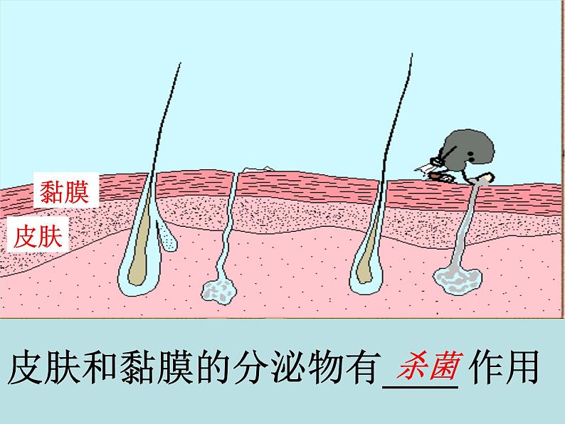 2022年人教版八年级生物下册第8单元第1章第2节免疫与计划免疫课件 (3)第7页