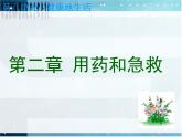 2022年人教版八年级生物下册第8单元第2章用药和急救课件 (1)