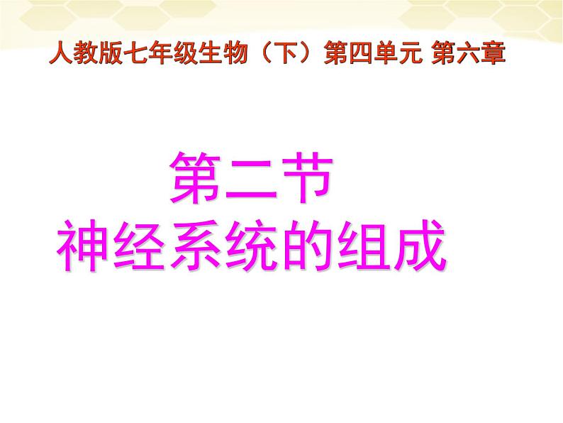 2022年人教版七年级生物下册第4单元第6章第2节神经系统的组成课件 (1)第1页