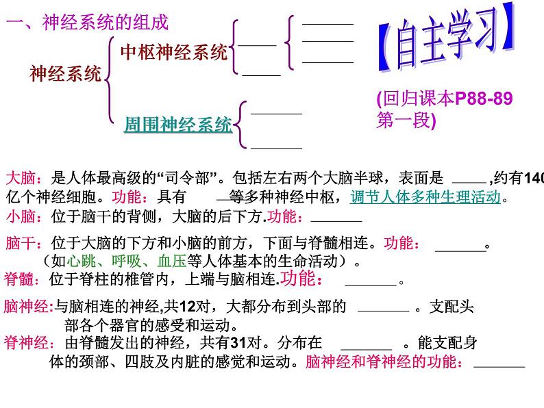 2022年人教版七年级生物下册第4单元第6章第2节神经系统的组成课件 (3)第2页