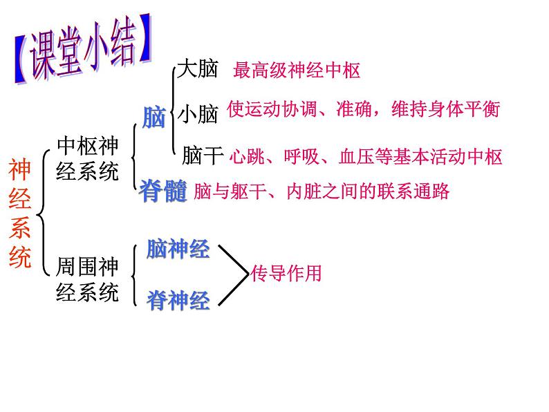 2022年人教版七年级生物下册第4单元第6章第2节神经系统的组成课件 (3)第5页