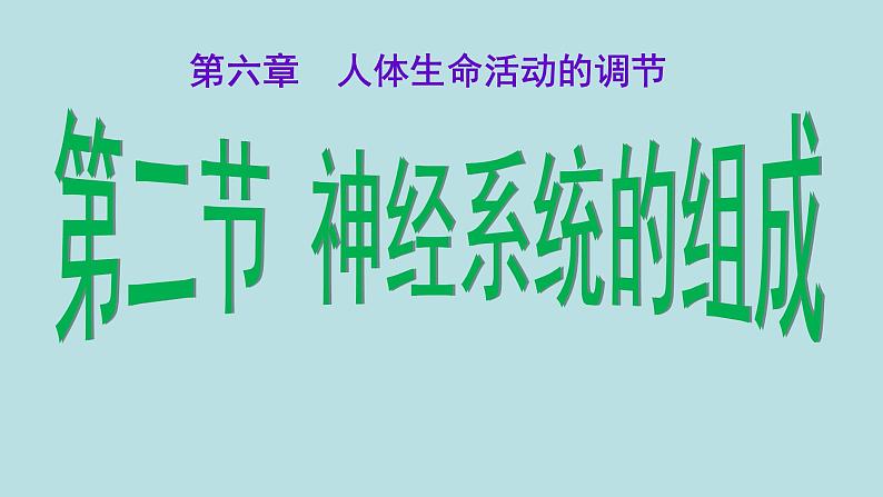 2022年人教版七年级生物下册第4单元第6章第2节神经系统的组成课件 (2)第1页