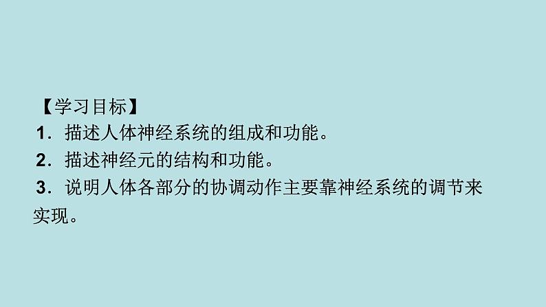 2022年人教版七年级生物下册第4单元第6章第2节神经系统的组成课件 (2)第4页