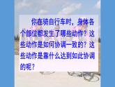 2022年人教版七年级生物下册第4单元第6章第2节神经系统的组成课件 (2)